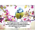 Magnet printat, Nu va ingrijorati..